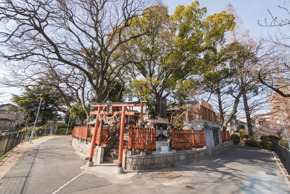 You can enjoy Hanami (cherry blossom festival) in Spring at Momogaike Park!